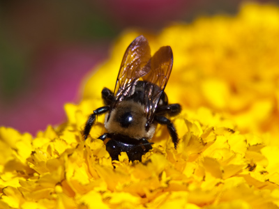 `Dangit, dropped my keys.`