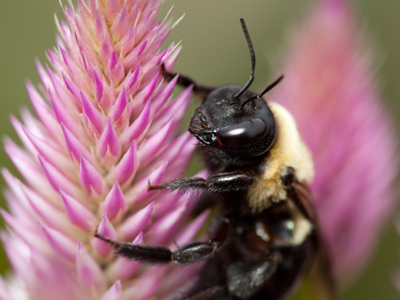 Almost perfect.  Maybe next time . . . 