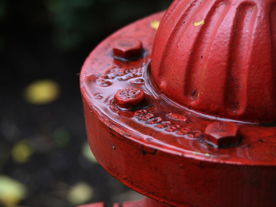 Afternoon rainshower.