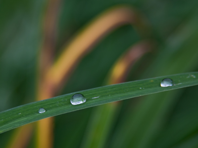 Photography isn`t about buttons and menus on your camera -- it`s about balance.  Balance between shapes and lines, light and dark, foreground and background.