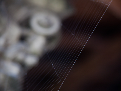 Architecture, theirs and ours.