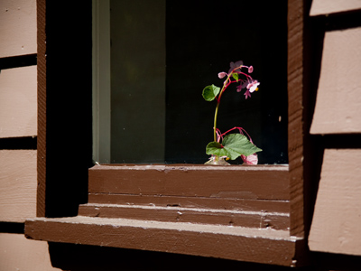 It was the home of Marie Aull, the founder of Aullwood MetroPark.