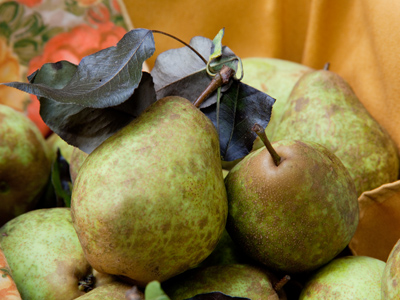 While outside the house, the garden was filled with (quite literally) the fruits of her labors.