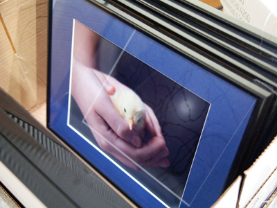 I felt a strange sense of relief to take down my exhibition.