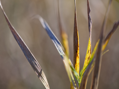 Today`s photos are not as . . . LITERAL . . . as usual.