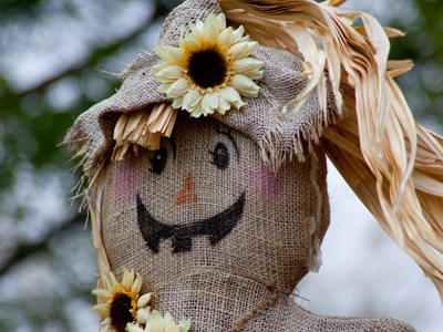 What happens when you don`t use dental floss regularly.