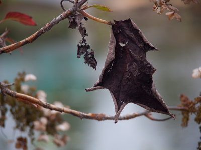 At this point, it was raining, my camera was getting wet, and I didn`t care.