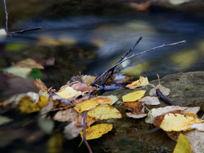 Unexpectedly at the last minute, here`s a not-awful picture.