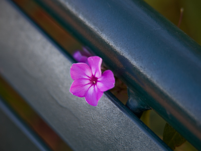 Small things are taking shape downtown at RiverScape.