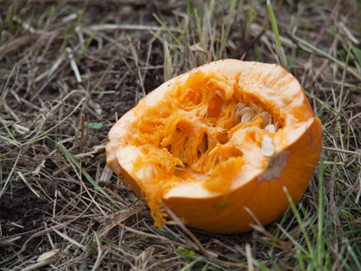  . . . but the last few inches are painful.