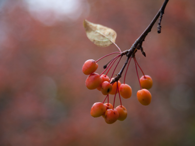 At the bottom of the tree . . . 