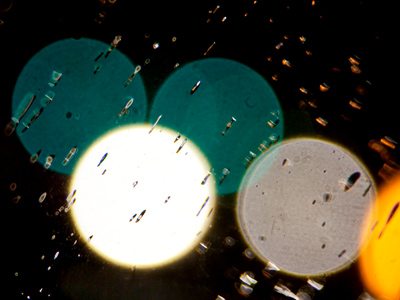 In front of Dorothy Lane Market.