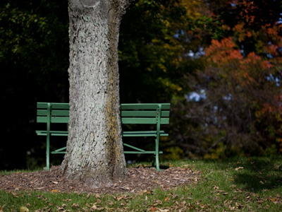 Perfect for watching the leaves turn.