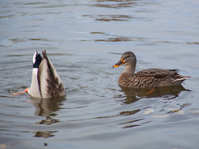 `Look at me when I`m talking to you!`