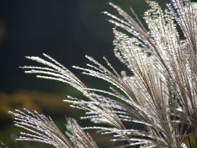 It`s 4:47pm and the sun is setting.