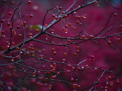 If someone in one of my photography workshops showed me this picture, I would take a deep breath and say, `Okay, here`s what you can do to improve your photos.`