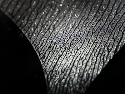 Morning melt on my motorcar.