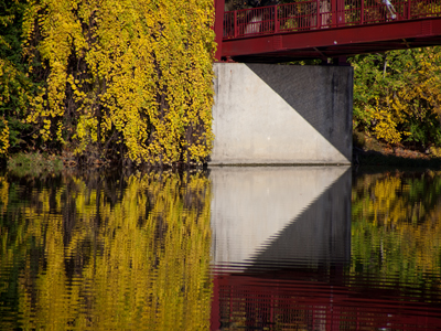 Mirror, mirror on the water.