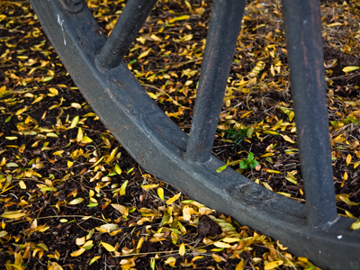 Falling leaves are part of the great circle of life.