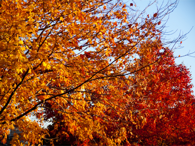 She gestured to me and said, `This is Adam Alonzo.  Every day, he takes five photos.`