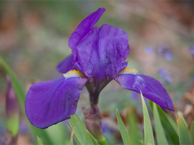  . . . or if it was spring.