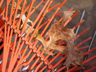 Remember the fallen.