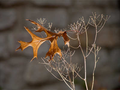 No one wants to be alone at the end.