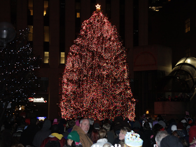This is my own version of Black Friday:  navigating through a crowd of thousands to photograph the Holiday Festival.