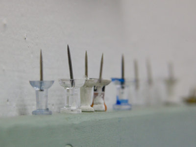 After yesterday`s crisis, any photo I take today is satisfying.