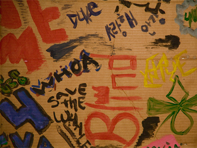 Some of the scenery obstructed my view and made it hard to take pictures.