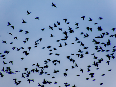 Also trying to move west against a 60 mile per hour wind.