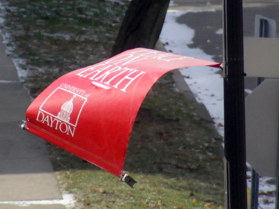 On a cold, windy day I stay indoors and shoot out the windows.