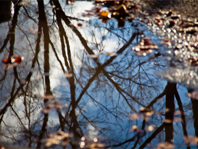 It was a cold but harmless day.