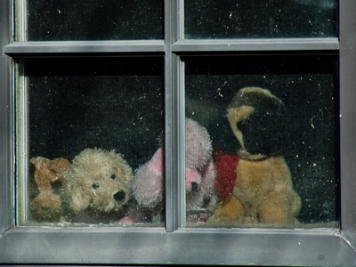 How much is that stuffed doggie in the window?