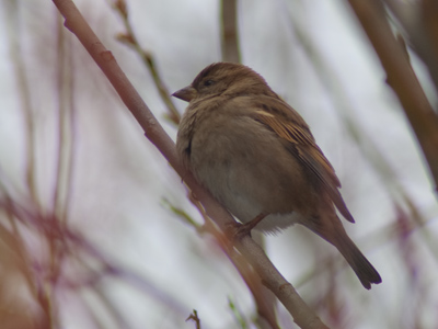 It`s a very rare thing, nowadays, that I take a picture I actually like.