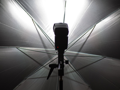 It was another day of living room experiments with some new flash equipment.