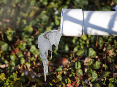 I had to venture outside today to avoid another set of living room photos.