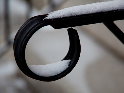 In the spring and summer I photograph individual flowers, and in the fall single leaves.  Even in the winter, I continue to shoot the world just a few inches at a time.