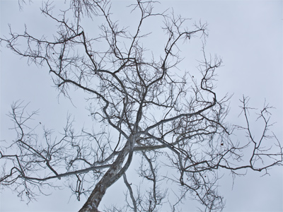 Looking up or looking down?  [Up]