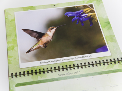 Do you have the new Adam Alonzo Nature Photography calendar?  Of course not, because (to borrow a line from `The Wizard of Oz`) there`s only one of him and he`s it.