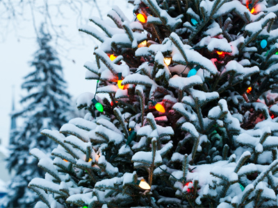 Look!  I occasionally zoom out.