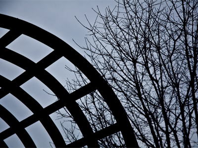 Sometimes photography is about color, sometimes not.