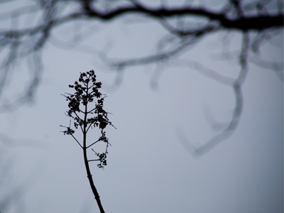 Today it was about shape, texture and contrast.