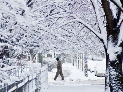 I had planned to shoot pictures at two events today, but they were both cancelled.  So instead, you get this guy.