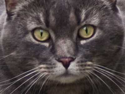 Taken from a safe distance.