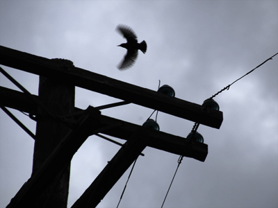 Spring suffered a relapse into winter today.