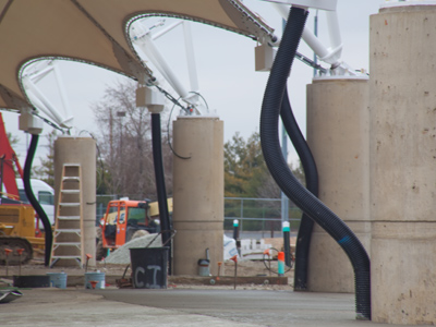 Have you noticed, since the weather has turned warmer, how the worms are crawling up out of the ground?