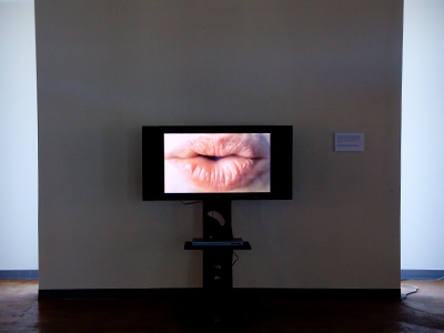 A video installation by a trio of South American artists known as Los Dialoguistas.