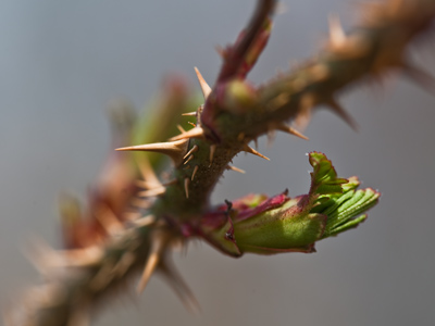 This is what today felt like.