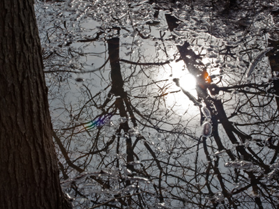 Such a lovely . . . swamp?